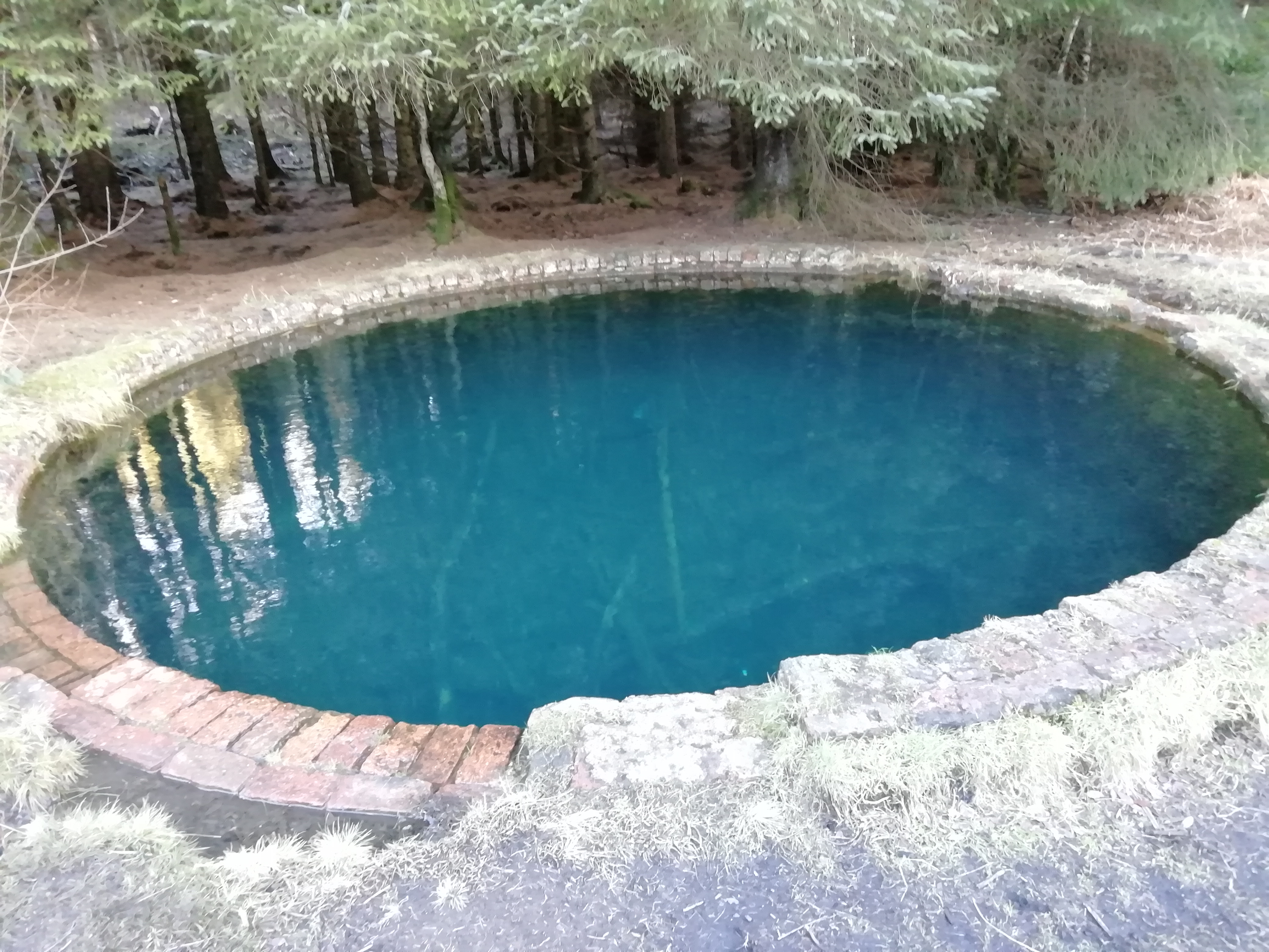 Random Places to visit #43… The Blue Pool – Tor Wood – The Exploring Cat